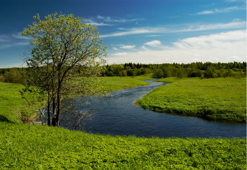 Flusslandschaft